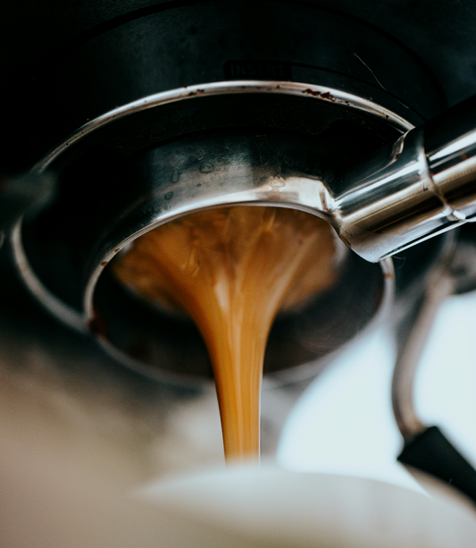 Your Coffee Has a Voice—Here’s How to Let It Sing