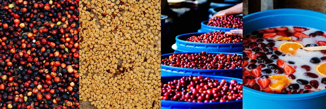 Crop to Cup: Process