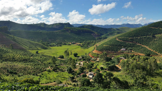 Crop to Cup: Environment