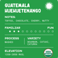 Guatemala Huehuetenango Washed