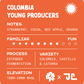 Colombia Young Producers Lot