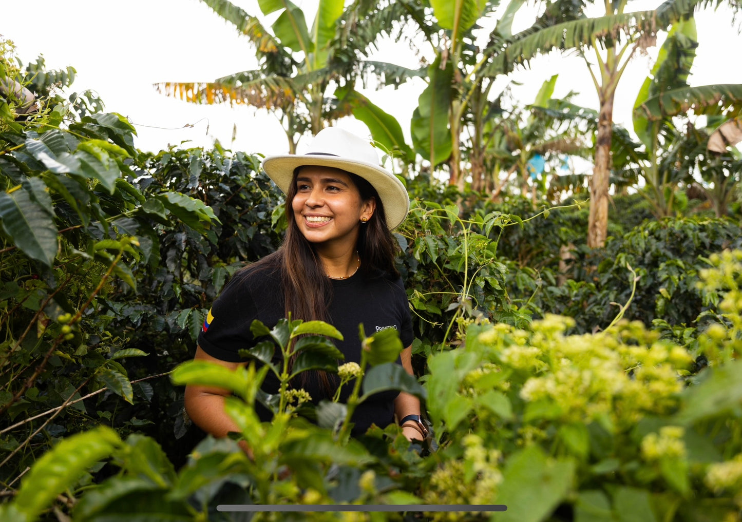 Colombia Ana Donneys