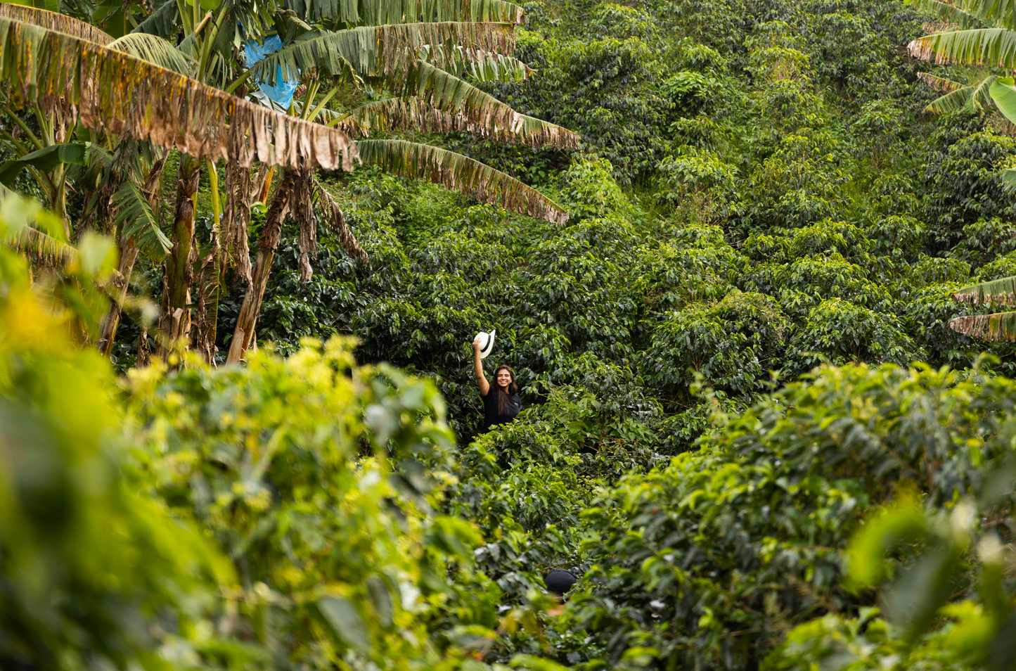 Colombia Ana Donneys