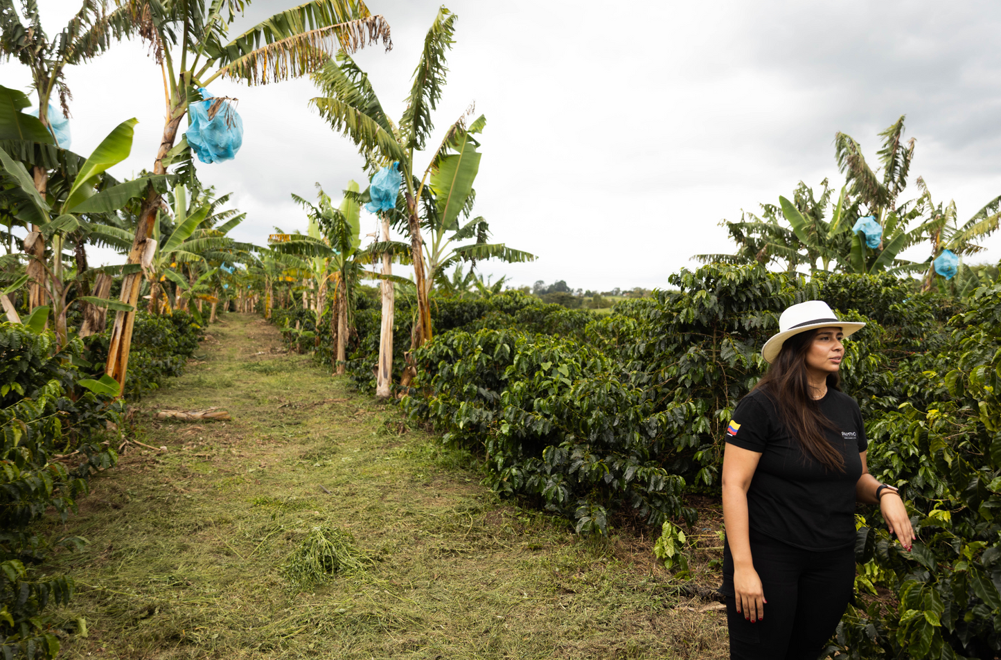 Colombia Ana Donneys